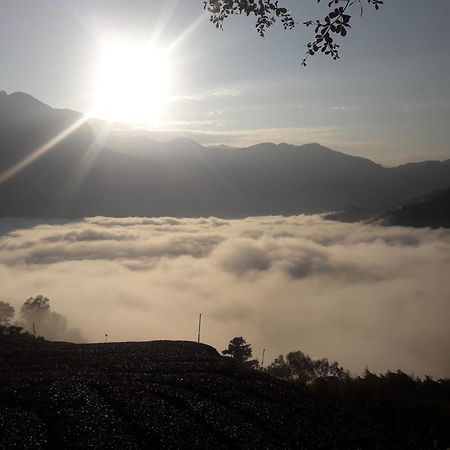 Alishan Shanyunhua B&B Homestay Meishan Bagian luar foto