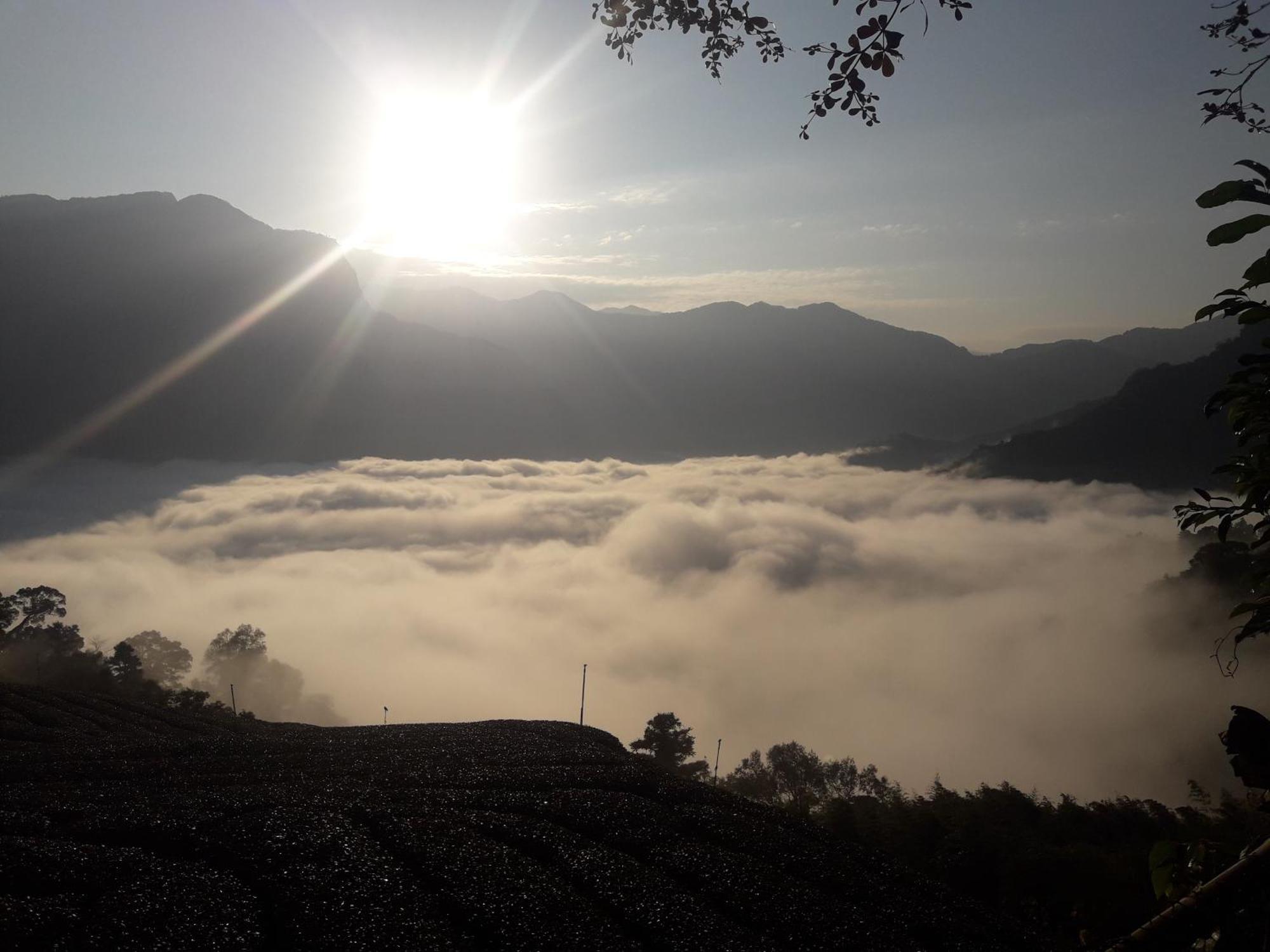 Alishan Shanyunhua B&B Homestay Meishan Bagian luar foto