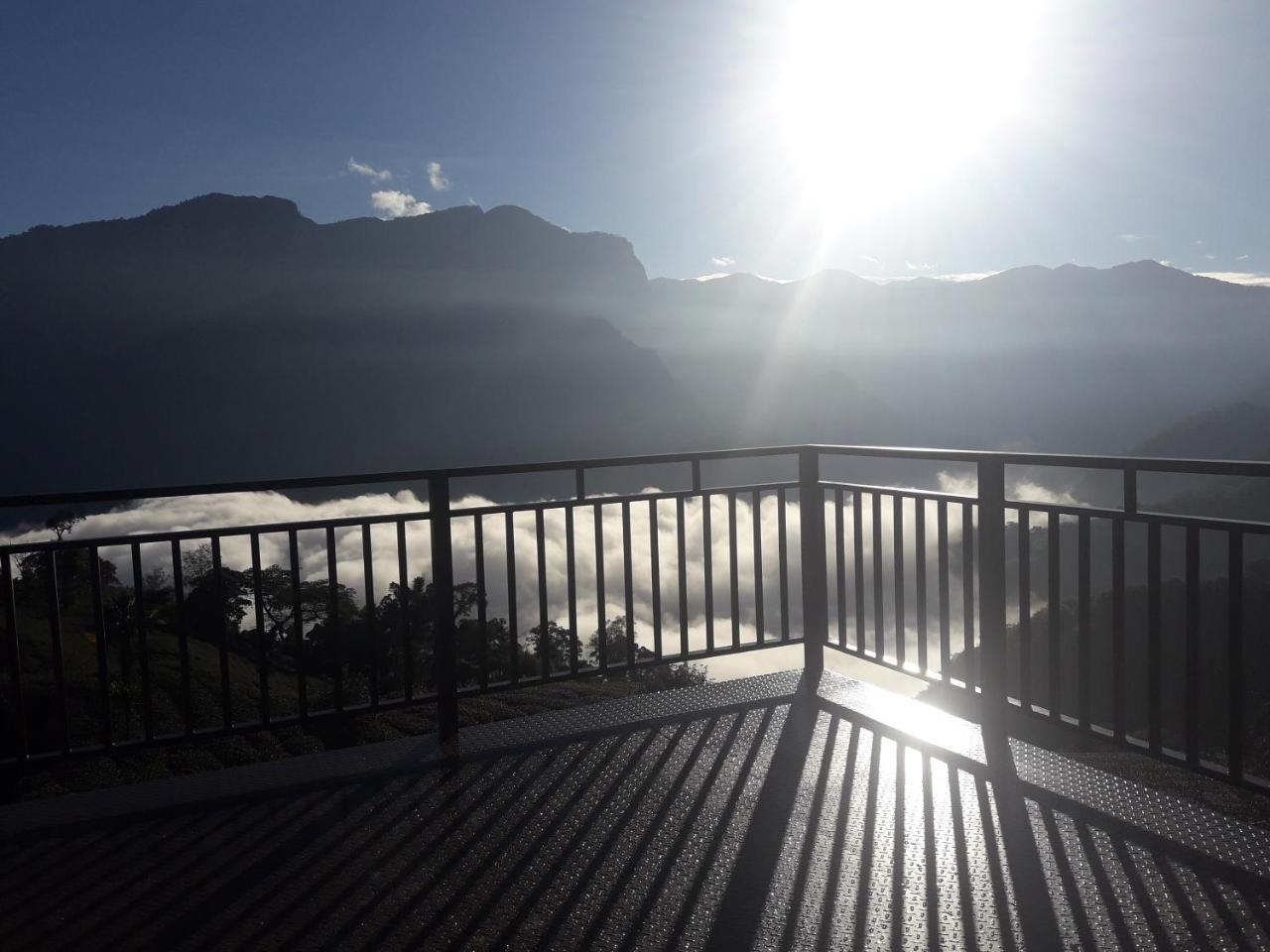 Alishan Shanyunhua B&B Homestay Meishan Bagian luar foto